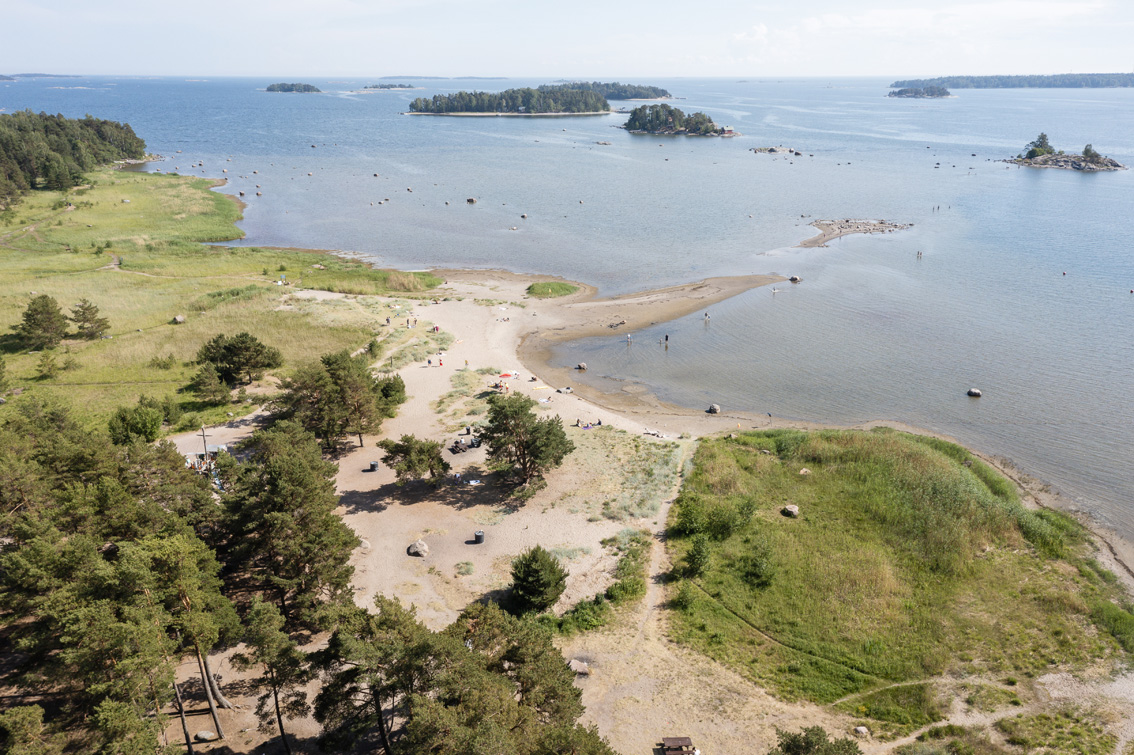 Bird faeces collection device needed on beaches – new tool in high ...